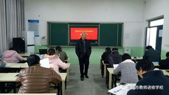 校际合作 携手同研——项城市历史学科培训侧记